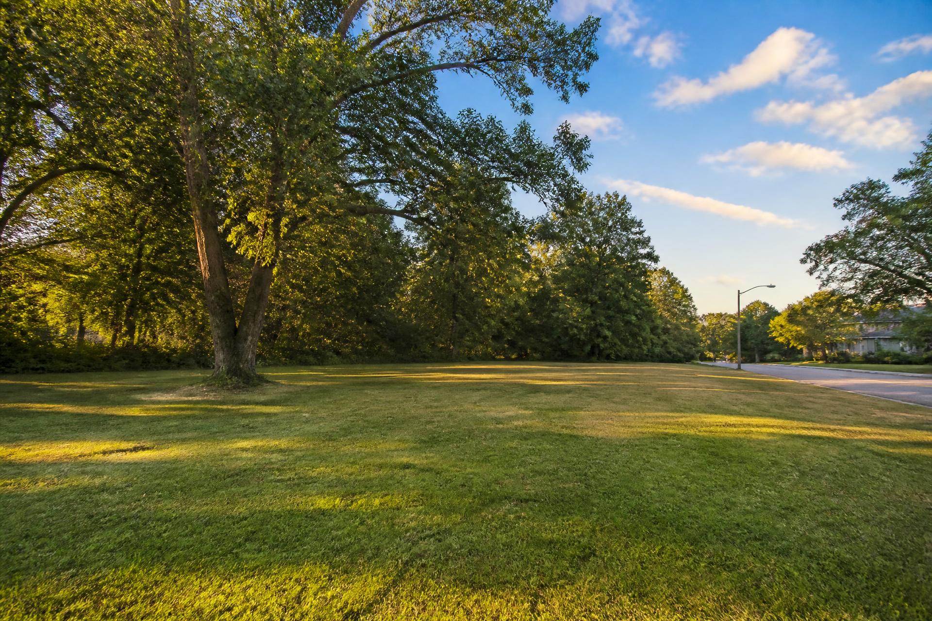 Open grassy vacant residential lot bordered by mature trees along a quiet street
